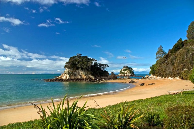 Top Beaches in New Zealand worth a visit this Summer! - New Zealand