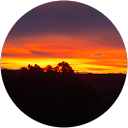 Henry profile picture