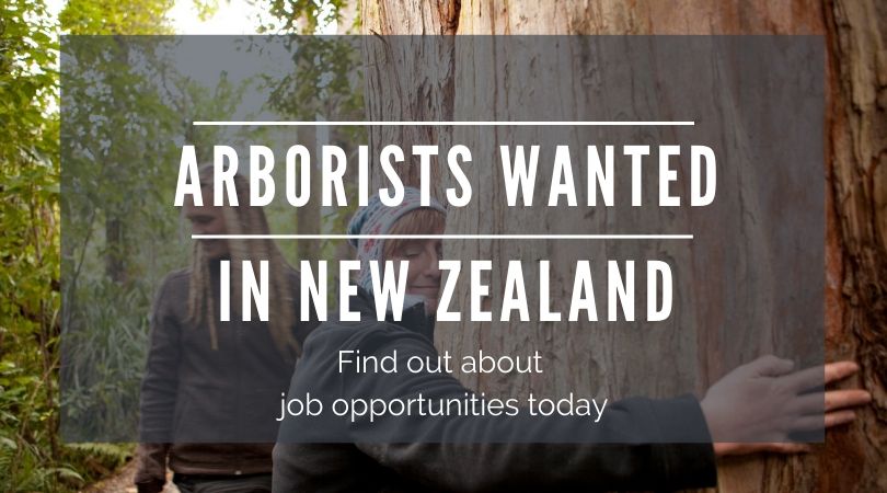 work in new zealand as an arborist