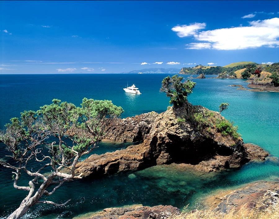 Waiheke Island better known as paradise! New Zealand Shores