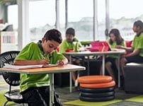 guardian-visa-200x150 teach in new zealand