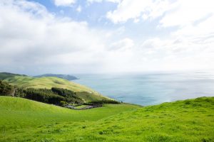 new zealand