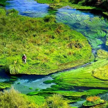 bay of plenty new zealand