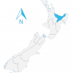 new zealand map bay of plenty