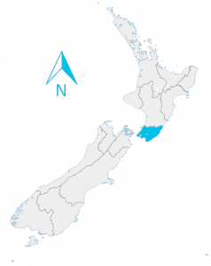 new zealand wellington map