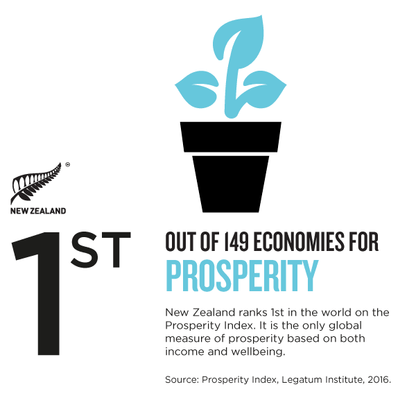 nz_business-4