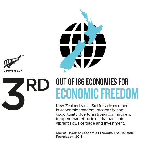 nz_business-8