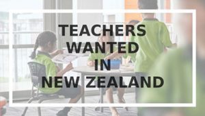 teachers in new zealand