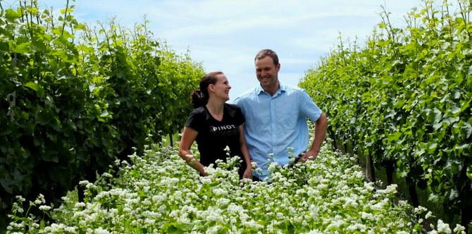 winemaking in new zealand