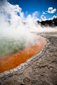 visit bay of plenty