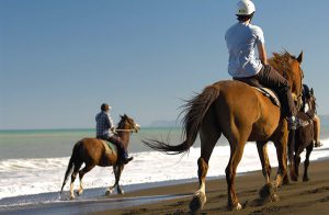 Explore Gisborne