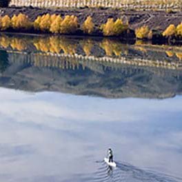 otago new zealand