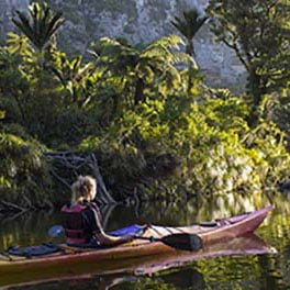 west coast new zealand