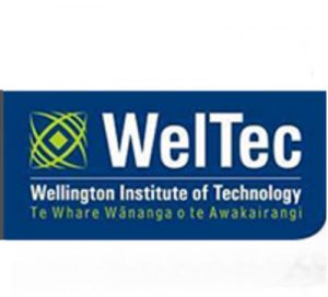 weltec-300x272 weltec-300x272